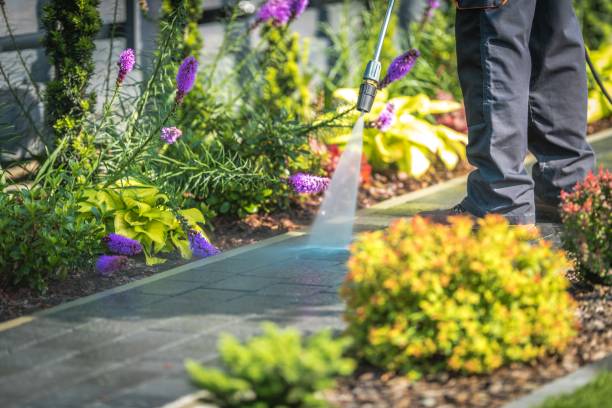 Best Gutter Cleaning  in Badger, AK