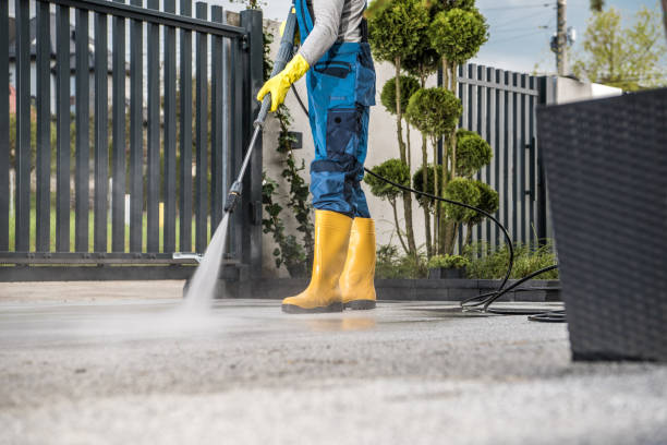 Best Roof Washing  in Badger, AK